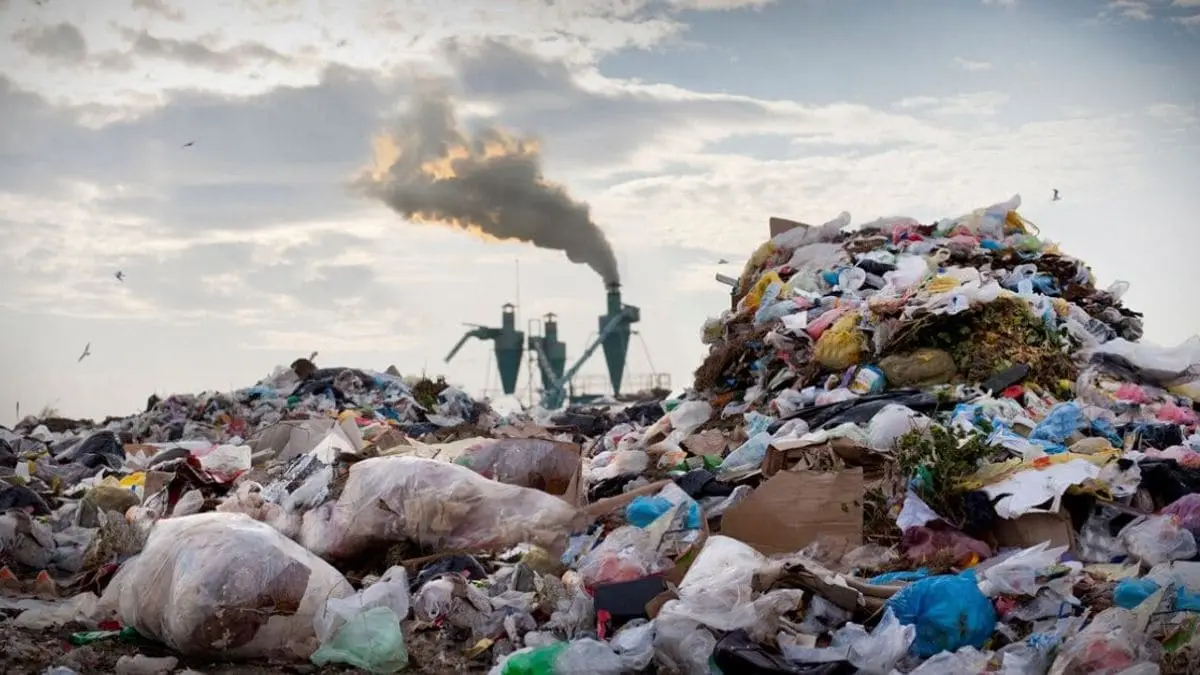 Виды загрязнения окружающей среды и их влияние на экосистему